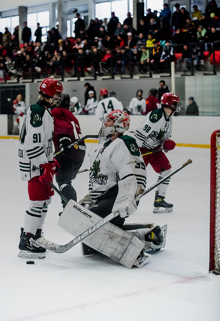 GAMES Ice Dragons Academy